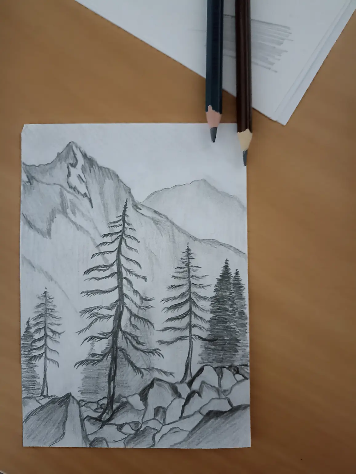 Фото До обучения